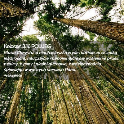 Picture 02 - Kolosan 3:16 POLUBG - Słowo Chrystusa niech mieszka w was obficie ze - Bible Verse Picture