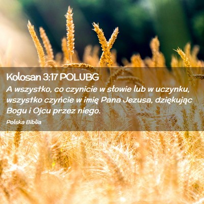 Picture 02 - Kolosan 3:17 POLUBG - A wszystko, co czynicie w słowie lub w uczynku, - Bible Verse Picture