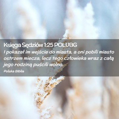 Picture 02 - Księga Sędziów 1:25 POLUBG - I pokazał im wejście do miasta, a oni pobili - Bible Verse Picture