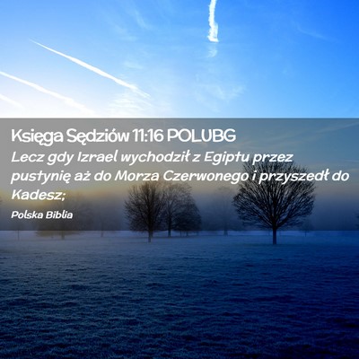 Picture 02 - Księga Sędziów 11:16 POLUBG - Lecz gdy Izrael wychodził z Egiptu przez - Bible Verse Picture