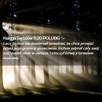Picture 02 - Księga Sędziów 11:20 POLUBG - Lecz Sichon nie dowierzał Izraelowi, że chce - Bible Verse Picture
