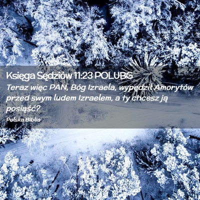 Picture 02 - Księga Sędziów 11:23 POLUBG - Teraz więc PAN, Bóg Izraela, wypędził - Bible Verse Picture