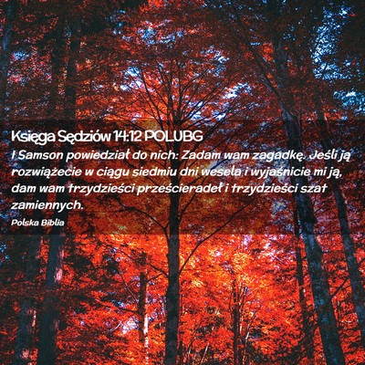 Picture 02 - Księga Sędziów 14:12 POLUBG - I Samson powiedział do nich: Zadam wam zagadkę. - Bible Verse Picture