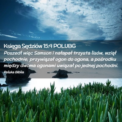 Picture 02 - Księga Sędziów 15:4 POLUBG - Poszedł więc Samson i nałapał trzysta lisów, - Bible Verse Picture
