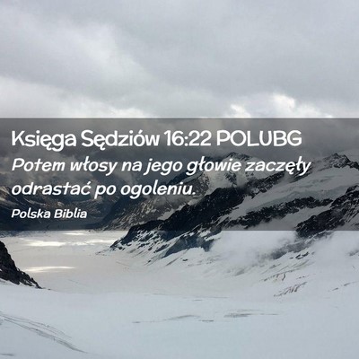 Picture 02 - Księga Sędziów 16:22 POLUBG - Potem włosy na jego głowie zaczęły odrastać - Bible Verse Picture