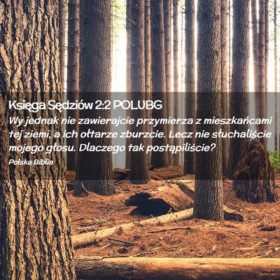 Picture 02 - Księga Sędziów 2:2 POLUBG - Wy jednak nie zawierajcie przymierza z - Bible Verse Picture