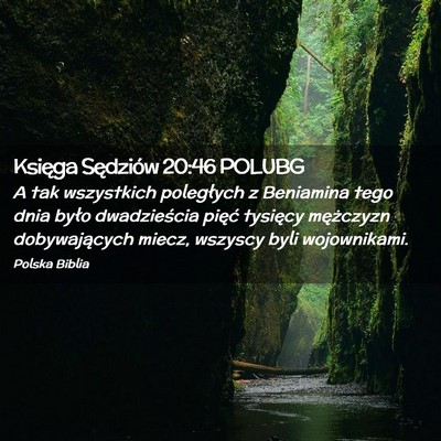 Picture 02 - Księga Sędziów 20:46 POLUBG - A tak wszystkich poległych z Beniamina tego dnia - Bible Verse Picture