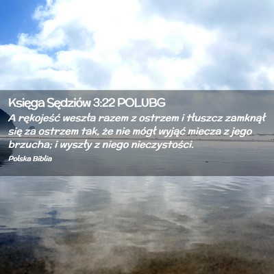 Picture 02 - Księga Sędziów 3:22 POLUBG - A rękojeść weszła razem z ostrzem i tłuszcz - Bible Verse Picture