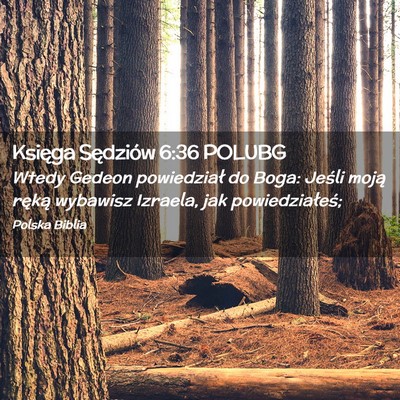 Picture 02 - Księga Sędziów 6:36 POLUBG - Wtedy Gedeon powiedział do Boga: Jeśli moją - Bible Verse Picture