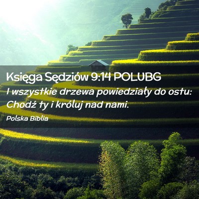 Picture 02 - Księga Sędziów 9:14 POLUBG - I wszystkie drzewa powiedziały do ostu: Chodź - Bible Verse Picture