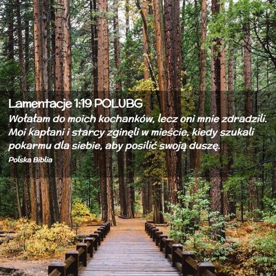 Picture 02 - Lamentacje 1:19 POLUBG - Wołałam do moich kochanków, lecz oni mnie - Bible Verse Picture