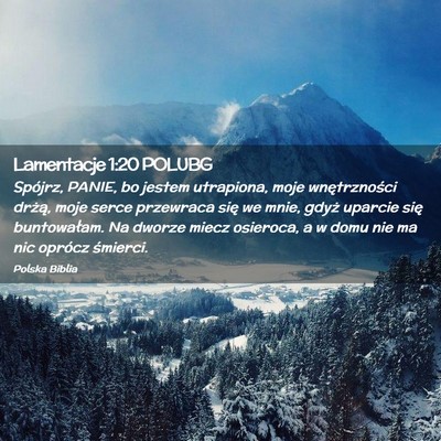 Picture 02 - Lamentacje 1:20 POLUBG - Spójrz, PANIE, bo jestem utrapiona, moje - Bible Verse Picture