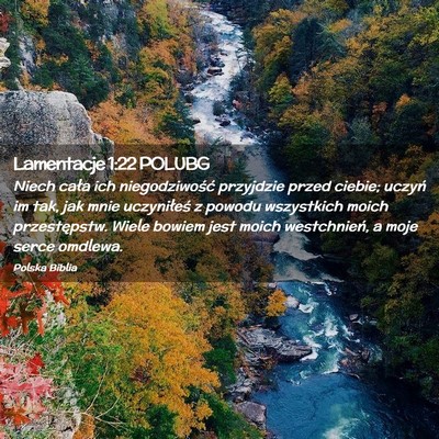 Picture 02 - Lamentacje 1:22 POLUBG - Niech cała ich niegodziwość przyjdzie przed - Bible Verse Picture