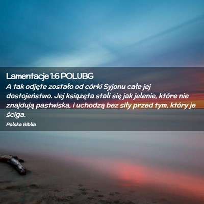 Picture 02 - Lamentacje 1:6 POLUBG - A tak odjęte zostało od córki Syjonu całe jej - Bible Verse Picture