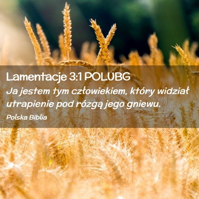 Picture 02 - Lamentacje 3:1 POLUBG - Ja jestem tym człowiekiem, który widział - Bible Verse Picture