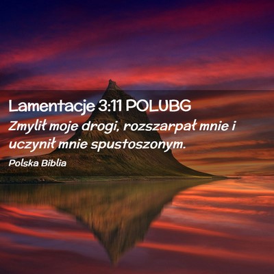 Picture 02 - Lamentacje 3:11 POLUBG - Zmylił moje drogi, rozszarpał mnie i uczynił - Bible Verse Picture