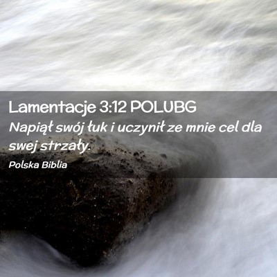 Picture 02 - Lamentacje 3:12 POLUBG - Napiął swój łuk i uczynił ze mnie cel dla - Bible Verse Picture