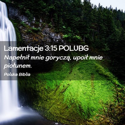 Picture 02 - Lamentacje 3:15 POLUBG - Napełnił mnie goryczą, upoił mnie - Bible Verse Picture