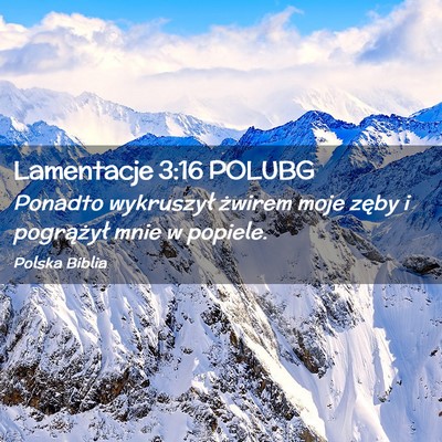 Picture 02 - Lamentacje 3:16 POLUBG - Ponadto wykruszył żwirem moje zęby i - Bible Verse Picture