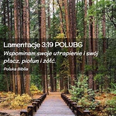 Picture 02 - Lamentacje 3:19 POLUBG - Wspominam swoje utrapienie i swój płacz, - Bible Verse Picture