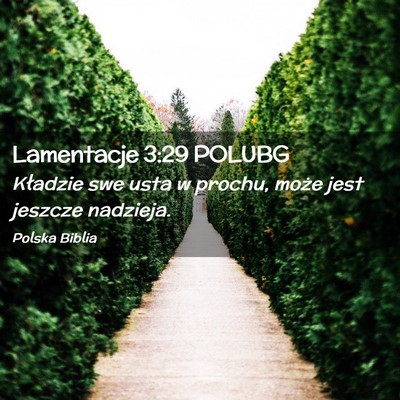Picture 02 - Lamentacje 3:29 POLUBG - Kładzie swe usta w prochu, może jest jeszcze - Bible Verse Picture