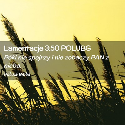 Picture 02 - Lamentacje 3:50 POLUBG - Póki nie spojrzy i nie zobaczy PAN z - Bible Verse Picture