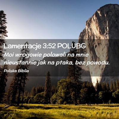 Picture 02 - Lamentacje 3:52 POLUBG - Moi wrogowie polowali na mnie nieustannie jak na - Bible Verse Picture