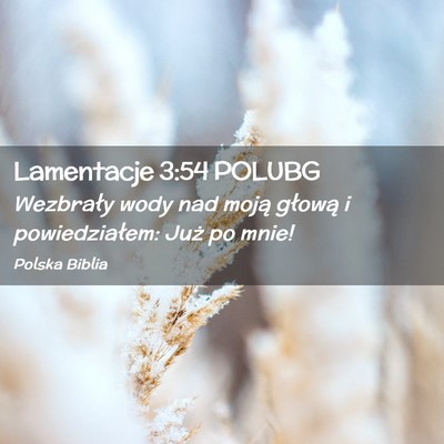 Picture 02 - Lamentacje 3:54 POLUBG - Wezbrały wody nad moją głową i powiedziałem: - Bible Verse Picture