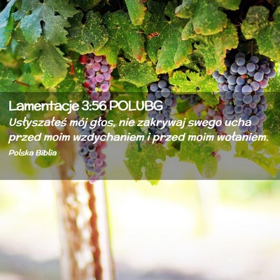 Picture 02 - Lamentacje 3:56 POLUBG - Usłyszałeś mój głos, nie zakrywaj swego ucha - Bible Verse Picture