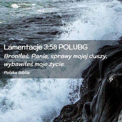 Picture 02 - Lamentacje 3:58 POLUBG - Broniłeś, Panie, sprawy mojej duszy, - Bible Verse Picture