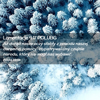Picture 02 - Lamentacje 4:17 POLUBG - Aż dotąd nasze oczy słabły z powodu naszej - Bible Verse Picture