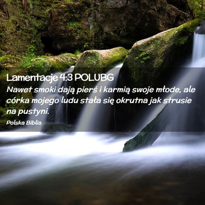 Picture 02 - Lamentacje 4:3 POLUBG - Nawet smoki dają pierś i karmią swoje młode, - Bible Verse Picture