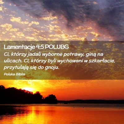 Picture 02 - Lamentacje 4:5 POLUBG - Ci, którzy jadali wyborne potrawy, giną na - Bible Verse Picture