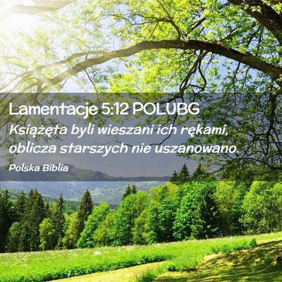 Picture 02 - Lamentacje 5:12 POLUBG - Książęta byli wieszani ich rękami, oblicza - Bible Verse Picture