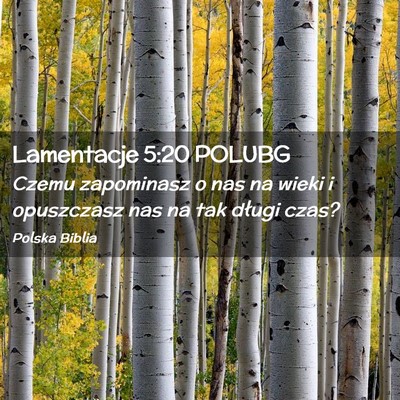 Picture 02 - Lamentacje 5:20 POLUBG - Czemu zapominasz o nas na wieki i opuszczasz nas - Bible Verse Picture