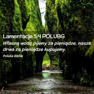 Picture 02 - Lamentacje 5:4 POLUBG - Własną wodę pijemy za pieniądze, nasze drwa - Bible Verse Picture