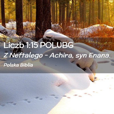 Picture 02 - Liczb 1:15 POLUBG - Z Neftalego – Achira, syn - Bible Verse Picture