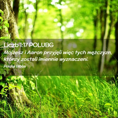 Picture 02 - Liczb 1:17 POLUBG - Mojżesz i Aaron przyjęli więc tych mężczyzn, - Bible Verse Picture