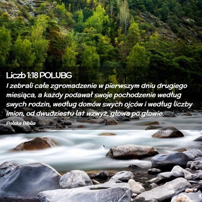 Picture 02 - Liczb 1:18 POLUBG - I zebrali całe zgromadzenie w pierwszym dniu - Bible Verse Picture