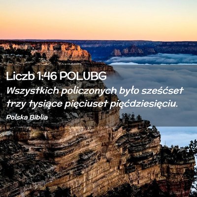 Picture 02 - Liczb 1:46 POLUBG - Wszystkich policzonych było sześćset trzy - Bible Verse Picture