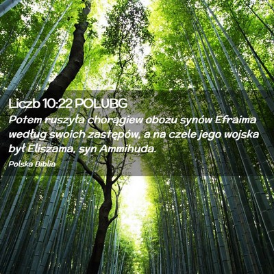 Picture 02 - Liczb 10:22 POLUBG - Potem ruszyła chorągiew obozu synów Efraima - Bible Verse Picture