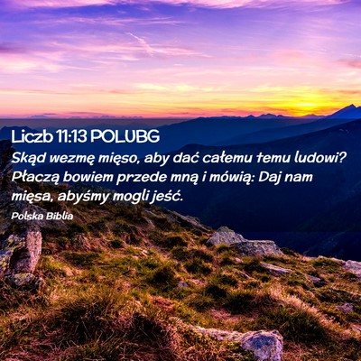Picture 02 - Liczb 11:13 POLUBG - Skąd wezmę mięso, aby dać całemu temu - Bible Verse Picture
