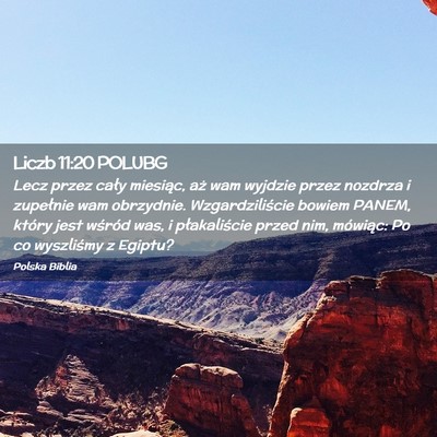 Picture 02 - Liczb 11:20 POLUBG - Lecz przez cały miesiąc, aż wam wyjdzie przez - Bible Verse Picture