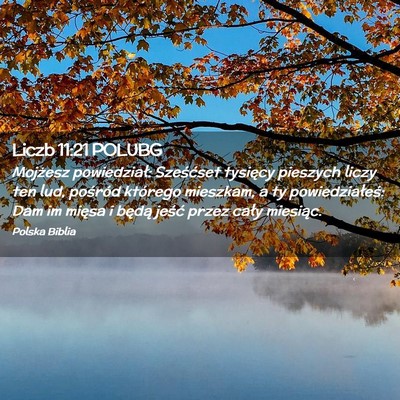 Picture 02 - Liczb 11:21 POLUBG - Mojżesz powiedział: Sześćset tysięcy - Bible Verse Picture