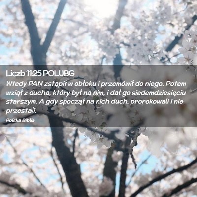 Picture 02 - Liczb 11:25 POLUBG - Wtedy PAN zstąpił w obłoku i przemówił do - Bible Verse Picture