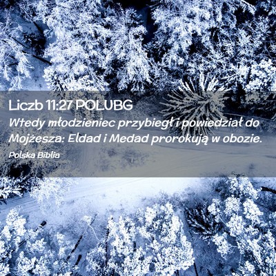 Picture 02 - Liczb 11:27 POLUBG - Wtedy młodzieniec przybiegł i powiedział do - Bible Verse Picture