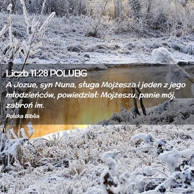 Picture 02 - Liczb 11:28 POLUBG - A Jozue, syn Nuna, sługa Mojżesza i jeden z - Bible Verse Picture