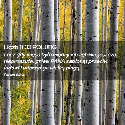 Picture 02 - Liczb 11:33 POLUBG - Lecz gdy mięso było między ich zębami, - Bible Verse Picture