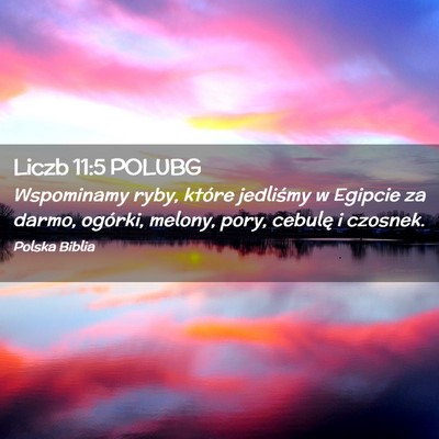 Picture 02 - Liczb 11:5 POLUBG - Wspominamy ryby, które jedliśmy w Egipcie za - Bible Verse Picture