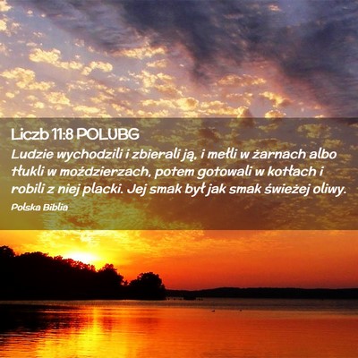Picture 02 - Liczb 11:8 POLUBG - Ludzie wychodzili i zbierali ją, i mełli w - Bible Verse Picture